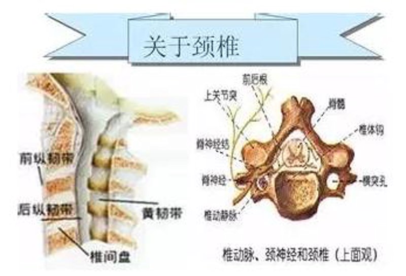 贵阳花溪骨科医院如何选择？五个维度帮你做决策